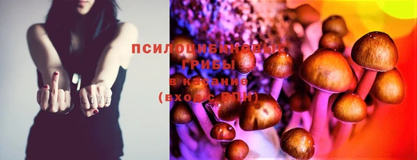 шишки Абдулино