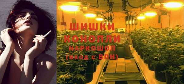 шишки Абинск