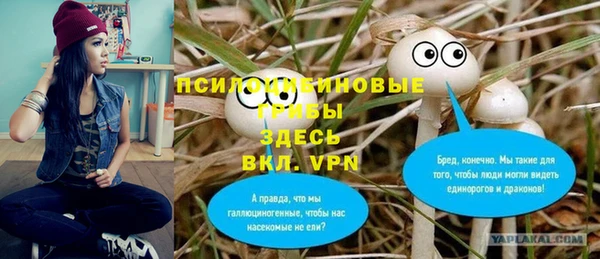 шишки Абдулино