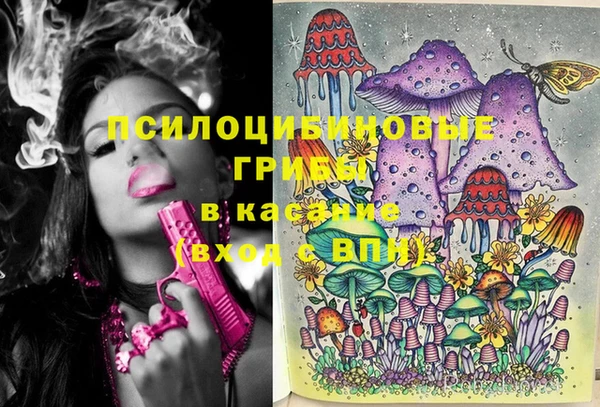 спайс Абаза