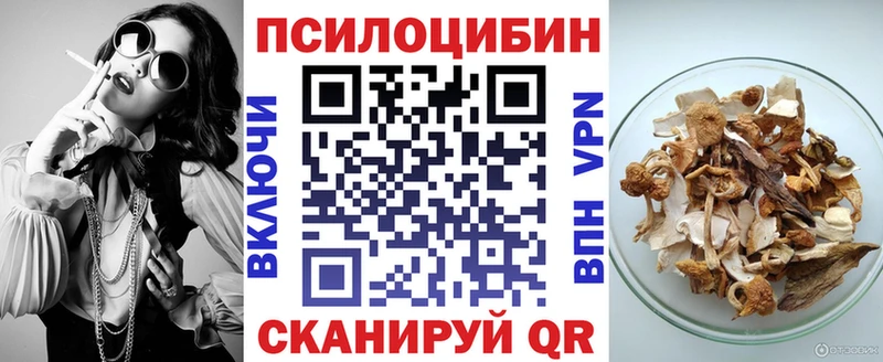 Галлюциногенные грибы Magic Shrooms  цены наркотик  Чегем 